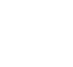 SAE Blog Text